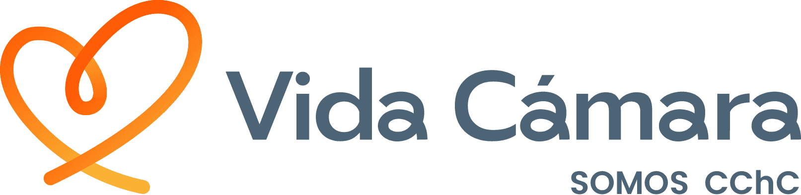 Vida Cámara